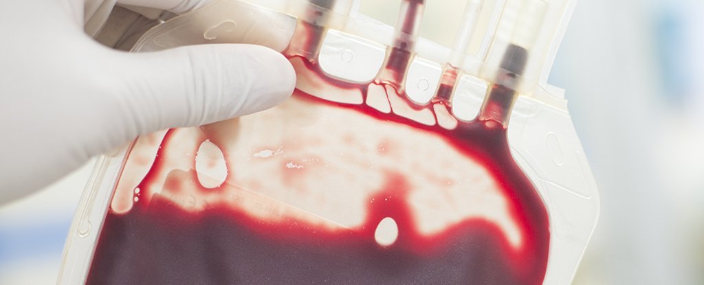 Encuentran rastros de fármacos en lotes de sangre que serían utilizados en transfusiones
