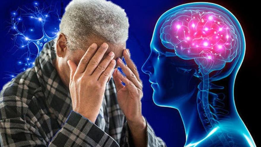 Descubren una proteína que podría disminuir la posibilidad de padecer Alzheimer