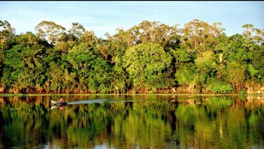 Nuevo secretario de la OCDE recibe alerta de más de 60 organizaciones brasileñas preocupadas por la política ambiental de Bolsonaro