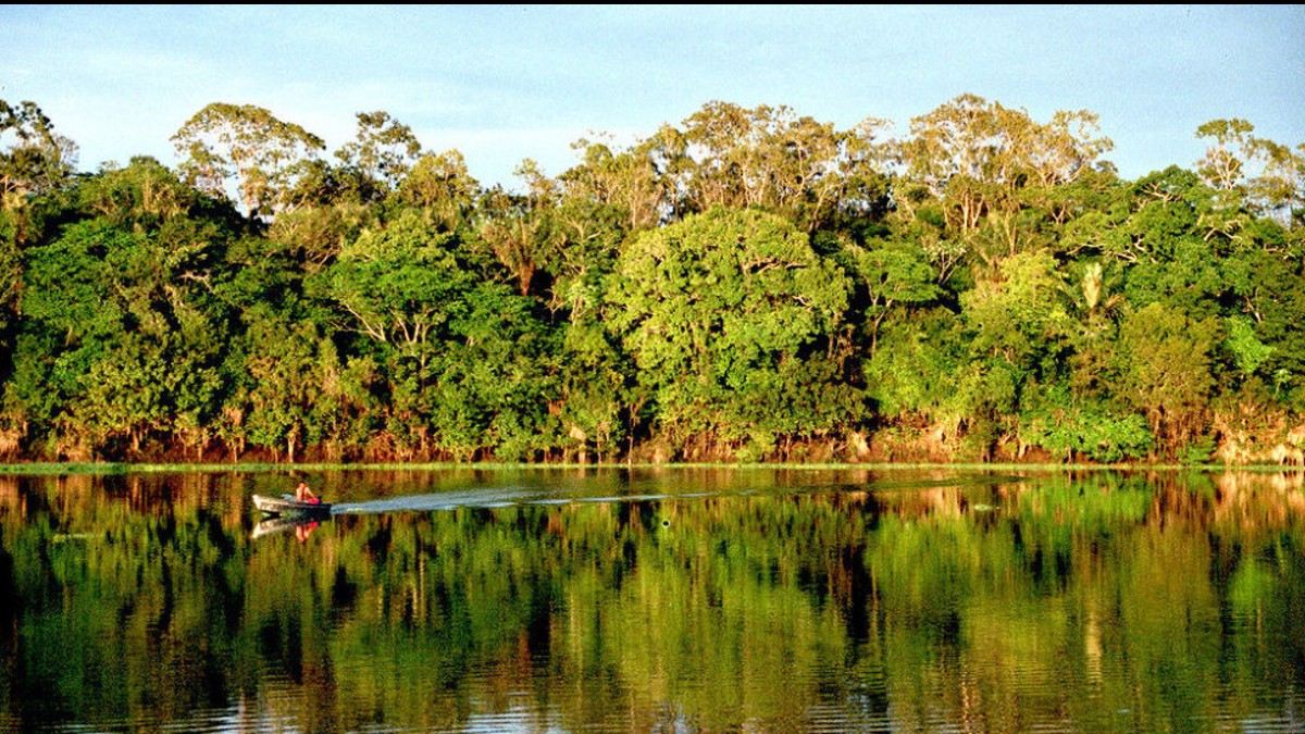 COP25: Pacto de Leticia entrega plan de conservación de la Amazonía