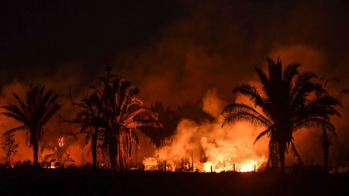 (Video) ¡Así fueron los graves incendios forestales que azotaron el planeta durante el 2019!