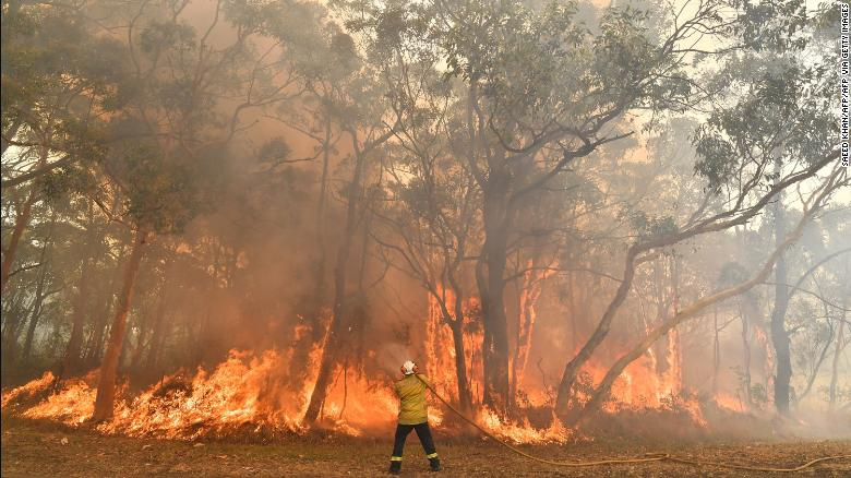 (Video) Ola de calor e incendios sin precedentes amenazan la biodiversidad australiana
