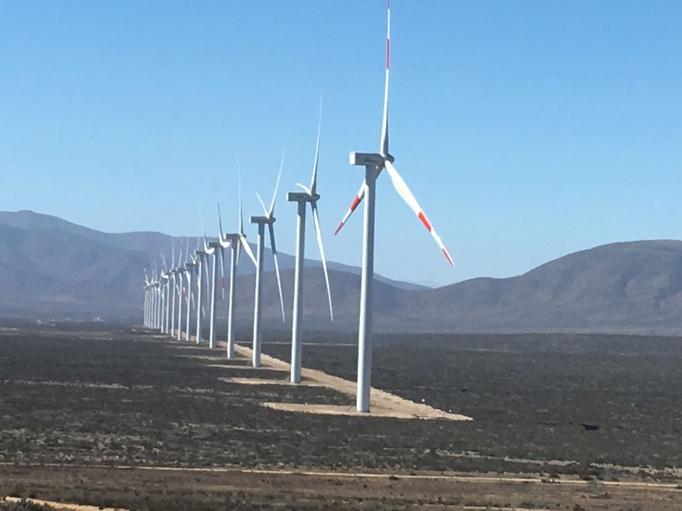 Atacama: Parque de energía eólica en Freirina estará listo a mediados de 2020