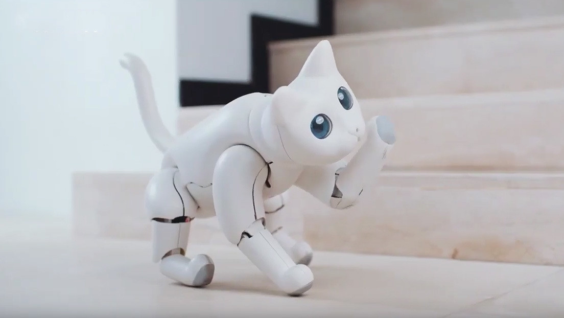 (Video) Presentan a “MarsCat” la gata robot que corre, ronronea y juega