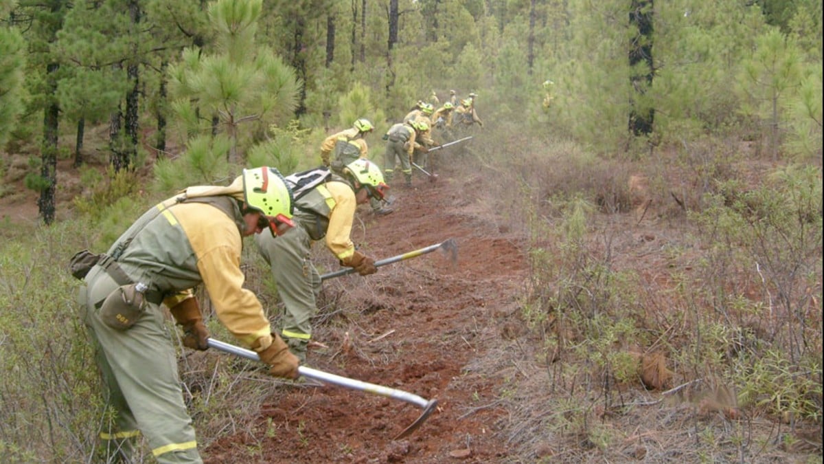 Gobierno venezolano pone en marcha plan contra incendios forestales por período de sequía