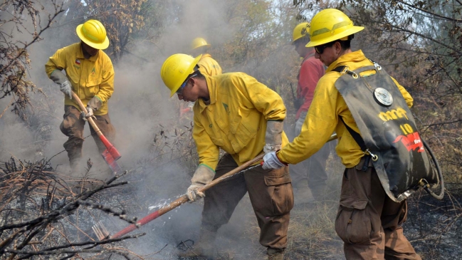 Brigadistas de Conaf de la Región del Bío Bío inician paro indefinido