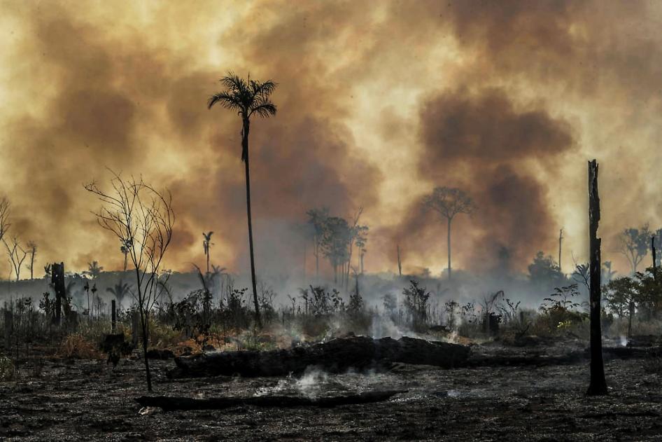Human Rights Watch: Embestida de Bolsonaro expone a graves riesgos a la Amazonía y a quienes la defienden