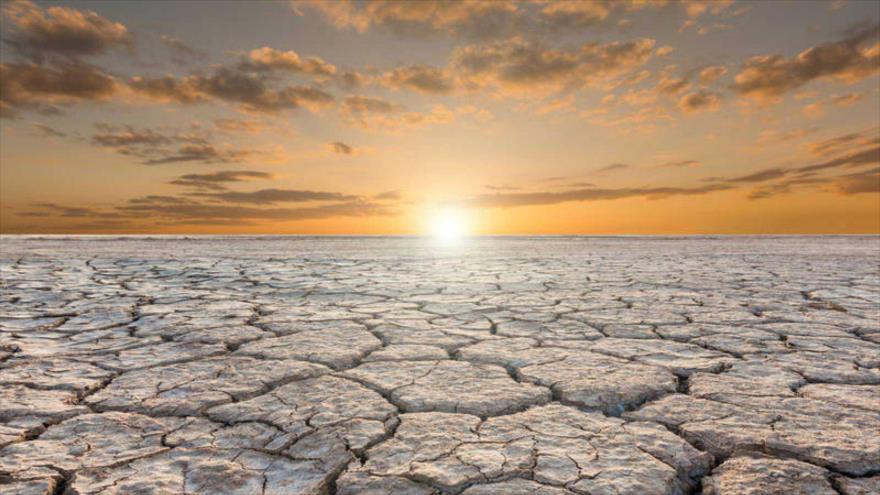 Científicos revelan que en los últimos diez años se registraron las temperaturas más altas de la historia