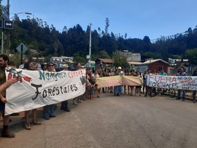 Biobío: Exigen que Reserva Nonguén sea declarada en situación de «catástrofe ambiental»
