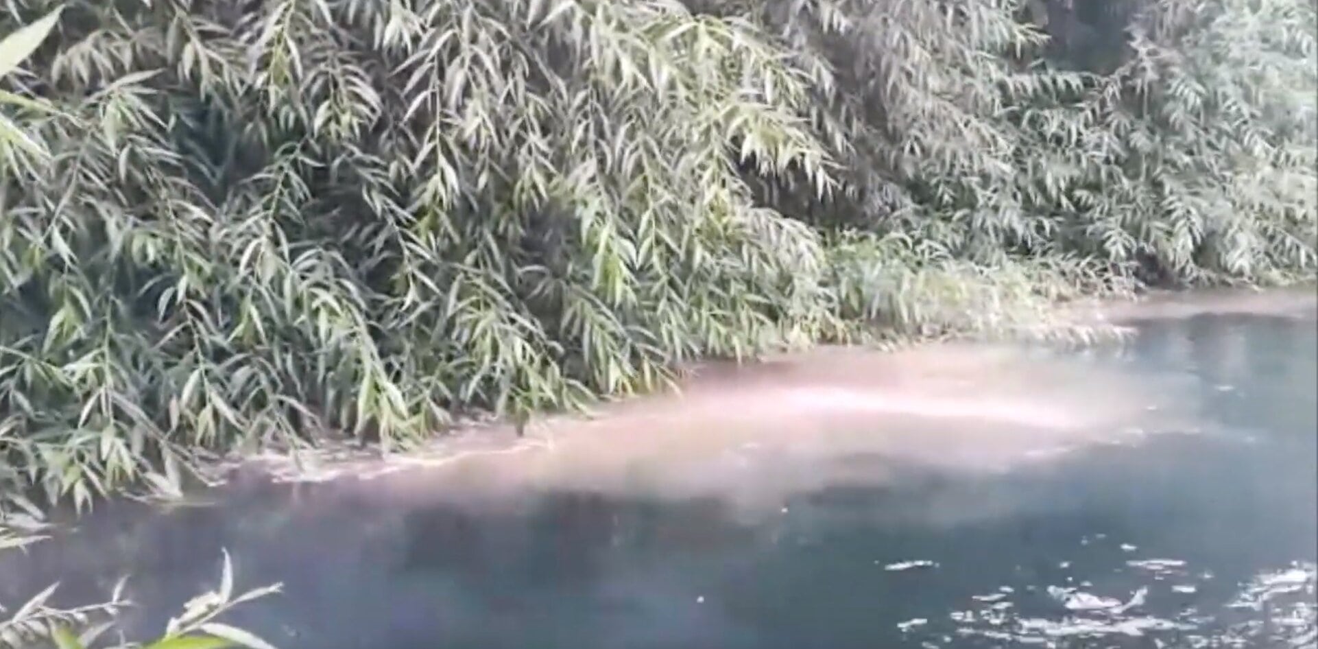 Comunidad de Villarrica denuncia derrame de aguas servidas al río Toltén