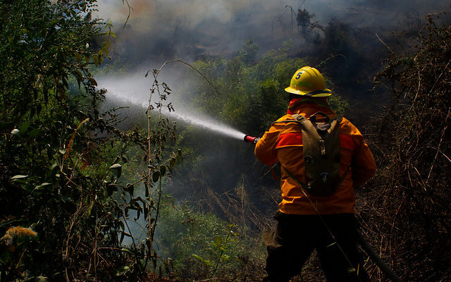 Incendios forestales han consumido más de 36 mil hectáreas en Chile