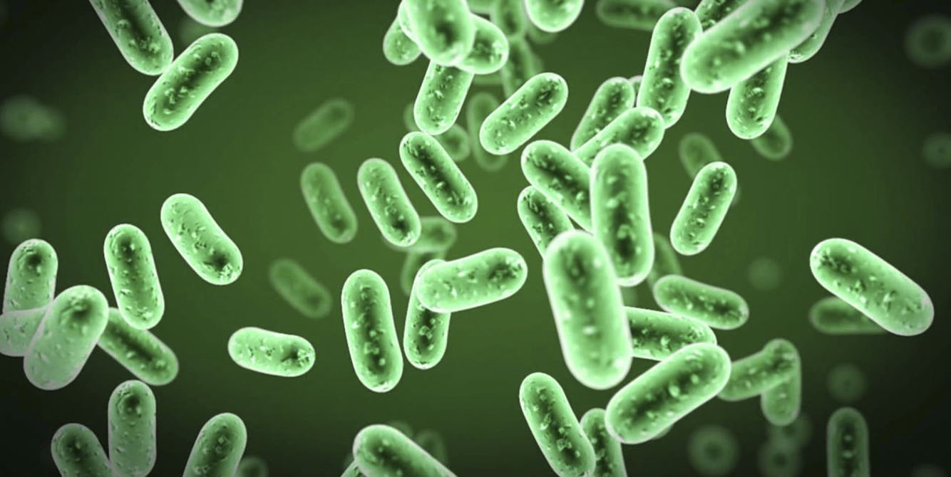 Los microbios pueden alterar un ambiente antes de desaparecer