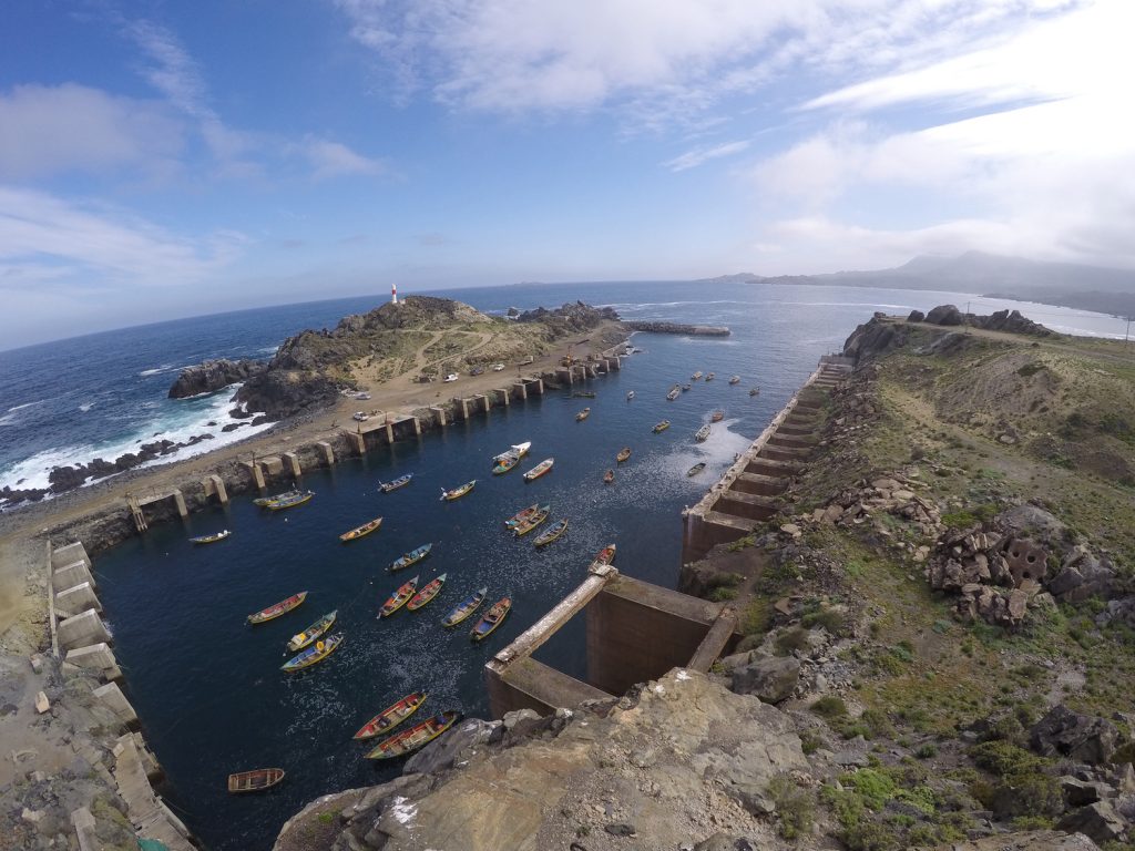 Oceana denuncia que Cruz Grande habría comenzado obras incumpliendo su permiso ambiental