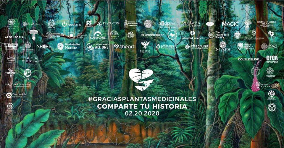 A partir del 20 de febrero miles de personas compartirán sus testimonios de sanación gracias a plantas medicinales y alucinógenas