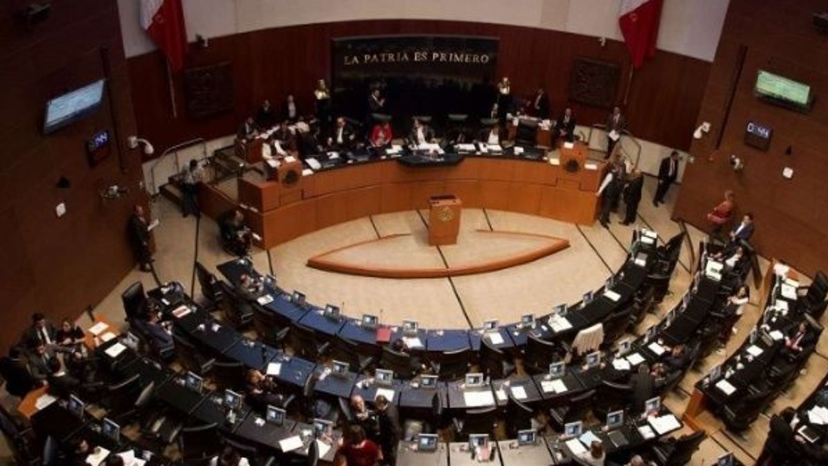 Comisiones del Senado de México aprueban dictamen sobre regulación de cannabis