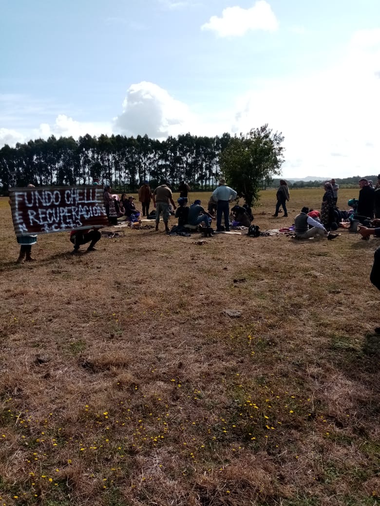 Movimiento mapuche realiza recuperación de terrenos en fundo de La Araucanía