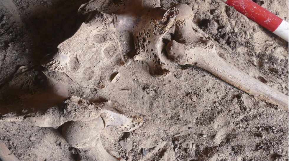 Esqueleto de hace 9.900 años revela pruebas del machismo mexicano