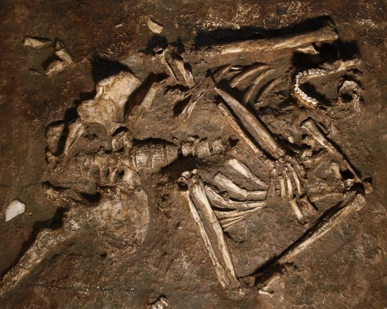 Descubren  impresionante esqueleto neandertal en una cueva de Irak