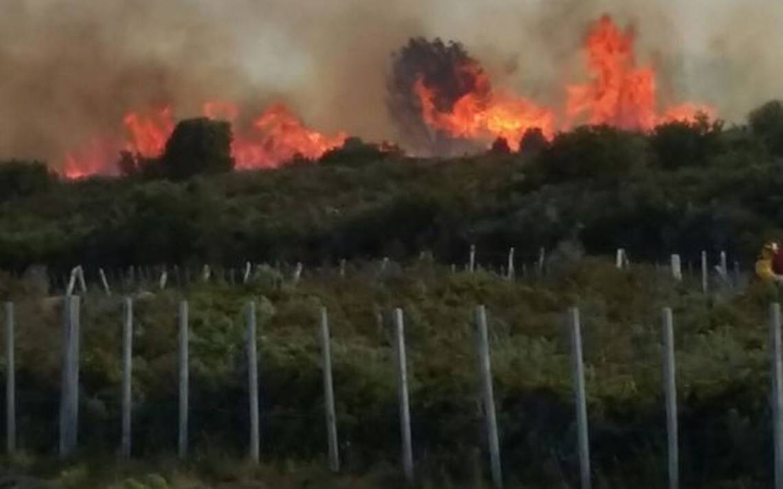 Incendio forestal de Hualqui supera las 2.200 hectáreas consumidas