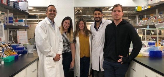 Argentinos crearon dispositivo para detectar coronavirus en menos de una hora