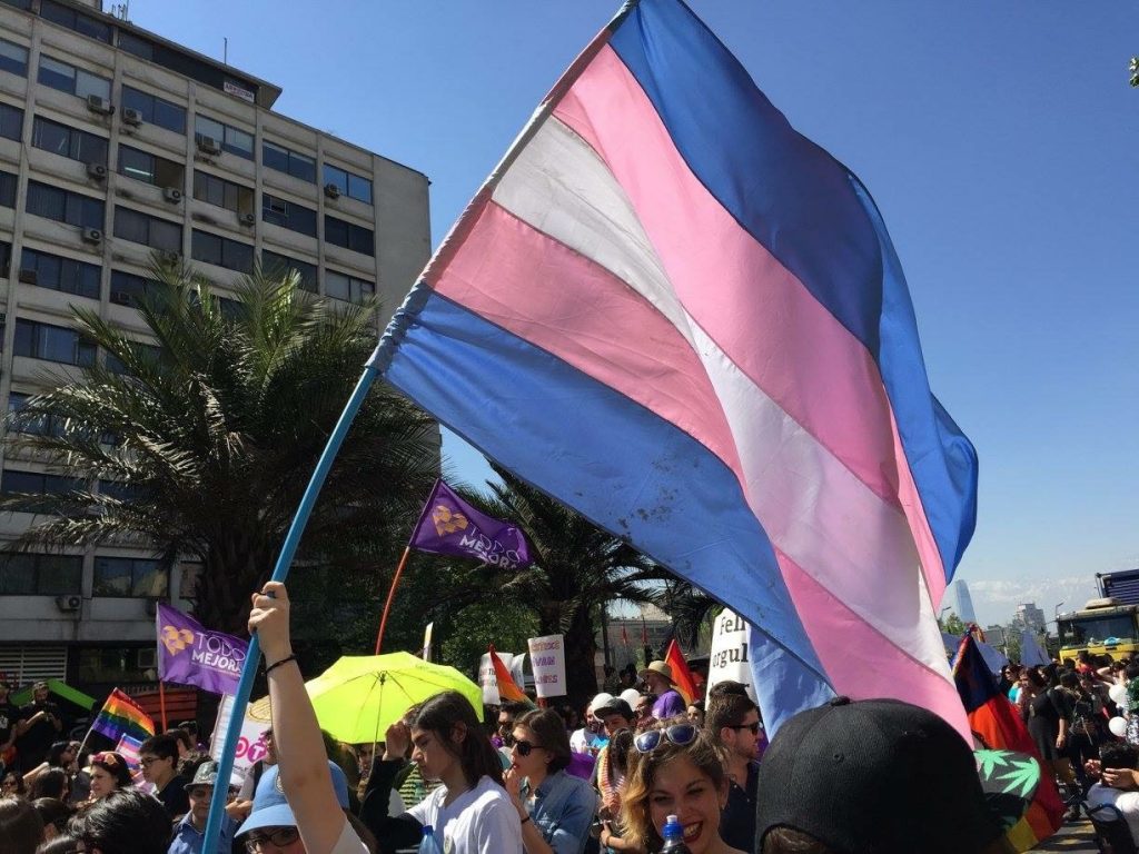 Histórico fallo contra Isapre: Suprema rechaza que Colmena considere a la transexualidad como una «enfermedad»
