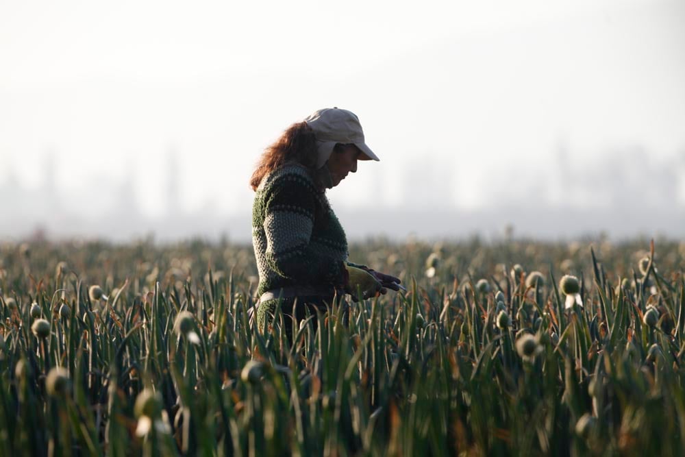 El 53,1% de las mujeres ocupadas en Chile no tiene tiempo suficiente para el descanso o el autocuidado