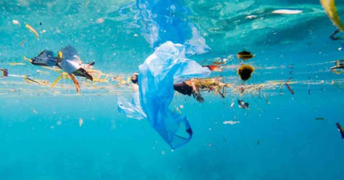 La ONU advierte que en 30 años habrá más desechos que peces en el mar