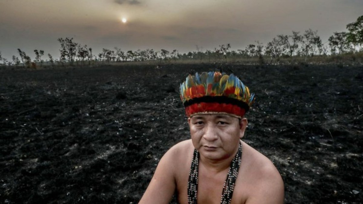 La Amazonía esta en riesgo de convertirse en una sabana en menos de medio siglo