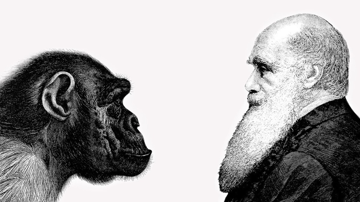 Científicos demuestran veracidad en la teoría de la evolución de Darwin