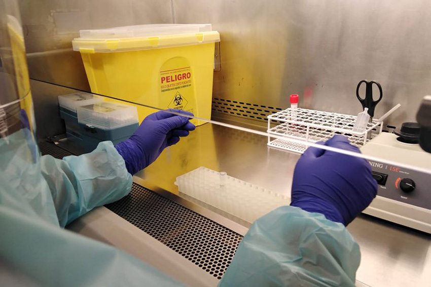 Científicos rusos afirman haber descifrado el genoma completo del nuevo coronavirus