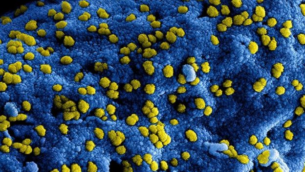 EE. UU. comenzó a probar en humanos vacuna contra el coronavirus