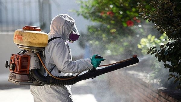 En menos de una semana, Uruguay reporta segundo caso de dengue autóctono