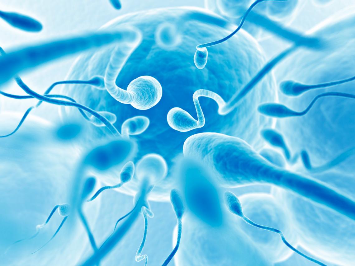 El COVID-19 puede afectar la fertilidad masculina, alertan científicos chinos