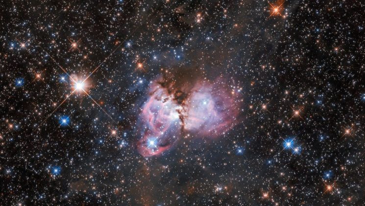 (Video) Hubble capta la imagen de una nube interestelar rosada rodeada ...