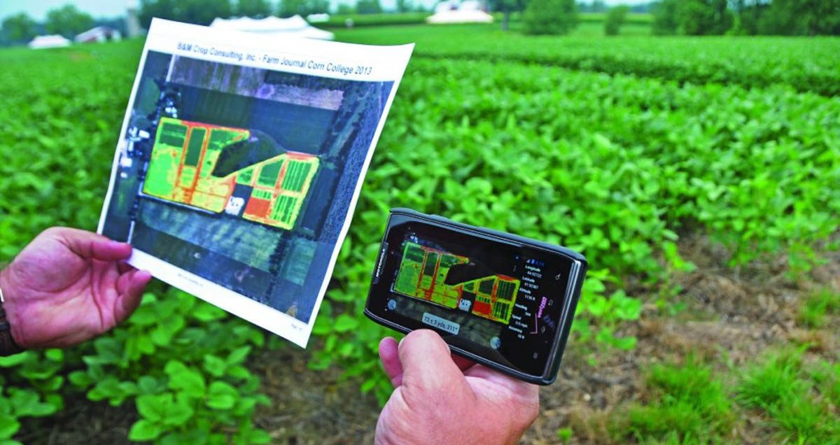 En Colombia agricultores crearon plataforma para realizar sus ventas de manera digital