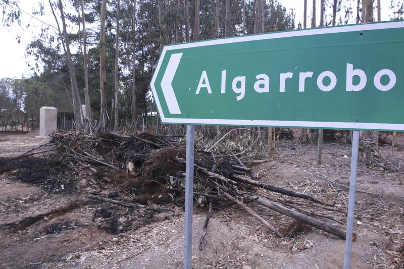 Alcalde de Algarrobo: Hay personas que han cambiado su registro de vivienda para venirse al litoral
