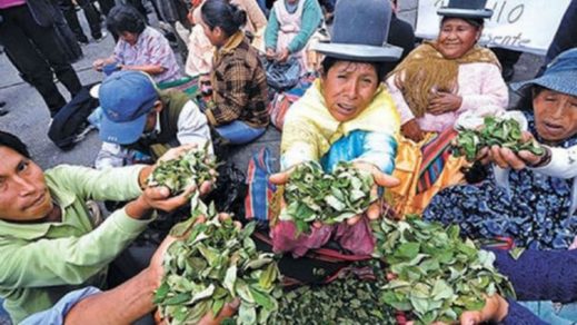 Bolivia: Cocaleros denuncian violación de DD. HH. durante la cuarentena