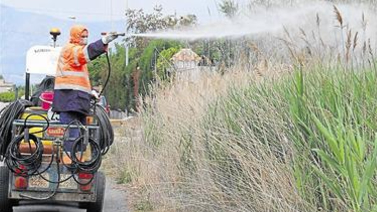 España: Fumigan con lejía en una playa por coronavirus y ponen en riesgo el ecosistema