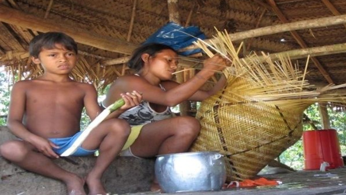 Organizaciones indígenas advierten el avance del COVID-19 en el Amazonas colombiano