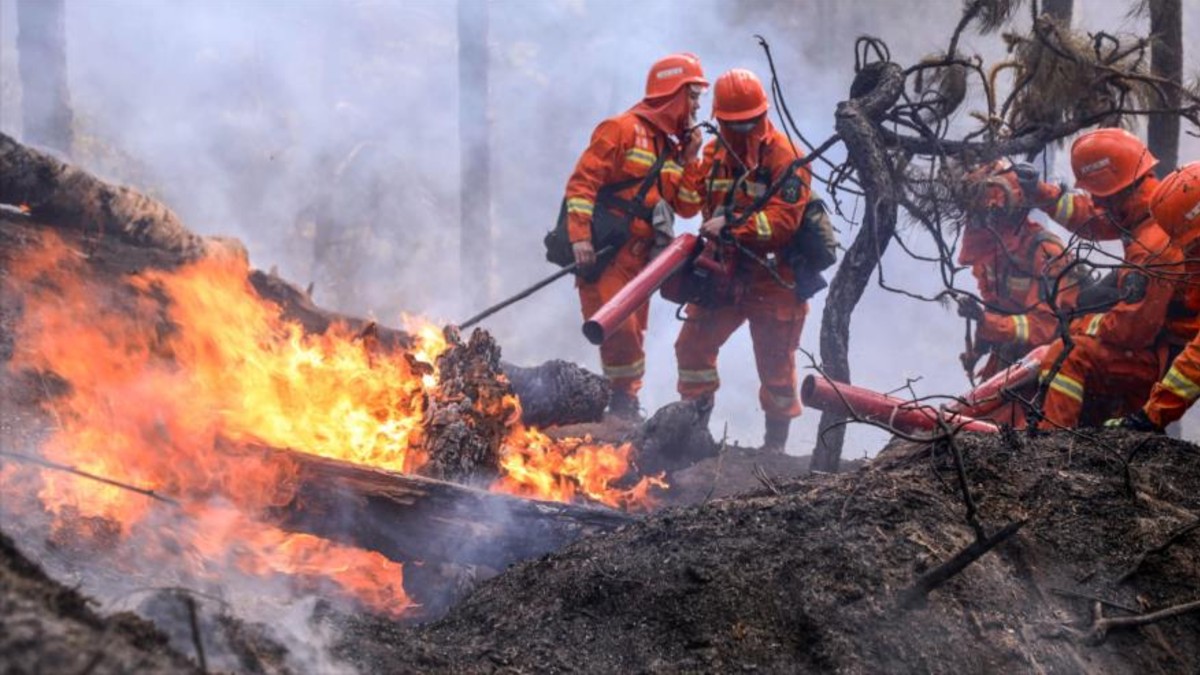 (Fotos) Grave incendio forestal en China afecta biodiversidad y deja 19 victimas fatales