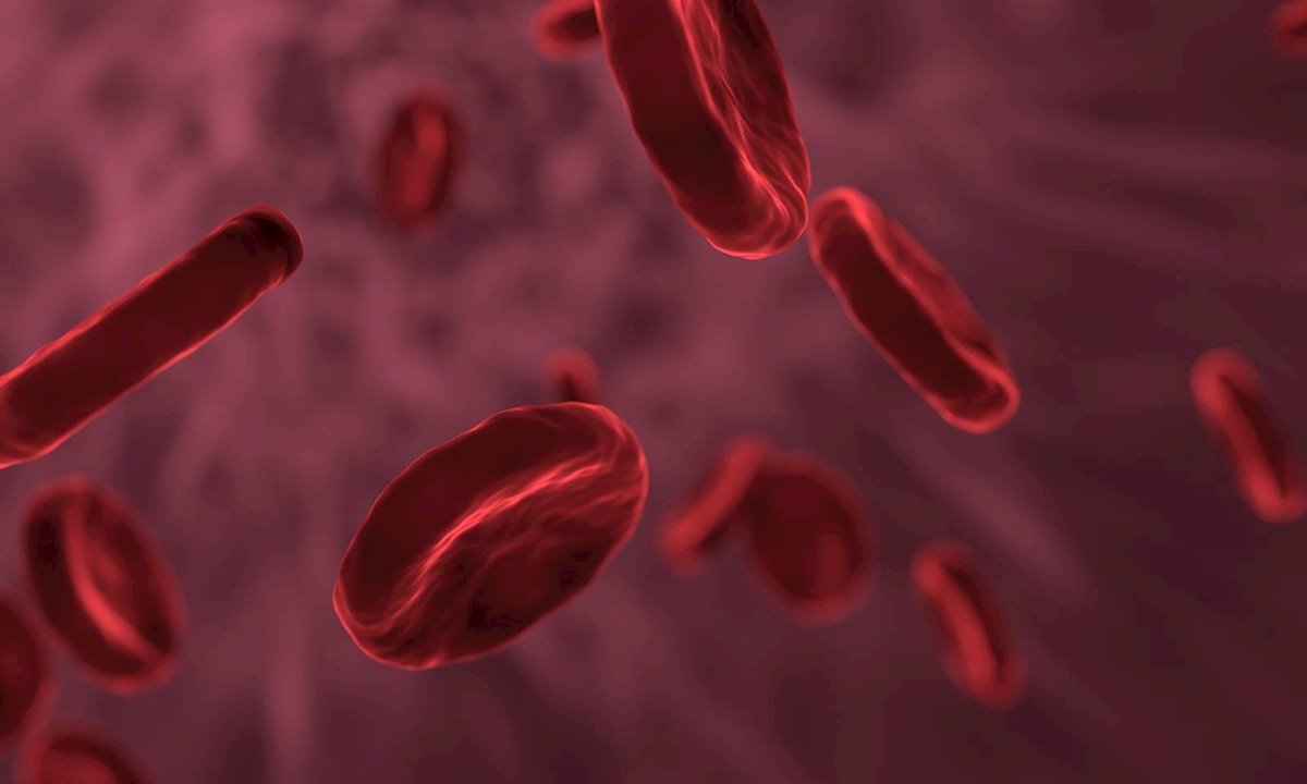 El efecto del COVID-19 en la sangre que podría explicar su mortalidad