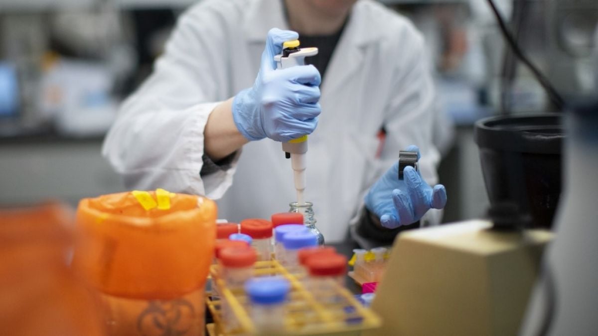 Quince universidades adaptaron sus laboratorios para diagnosticar el Covid-19