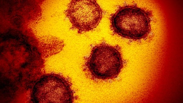 ¿Tiene el coronavirus un punto débil que facilite el camino hacia una cura?