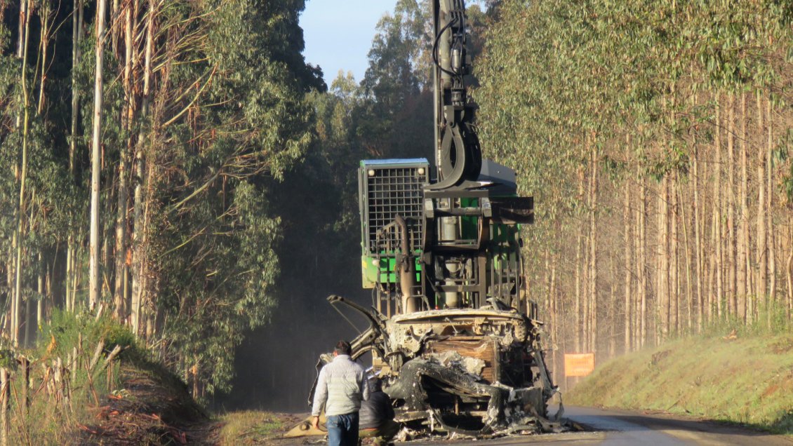 El no pago del impuesto territorial de las grandes forestales: Una injusticia que exige inmediata reparación