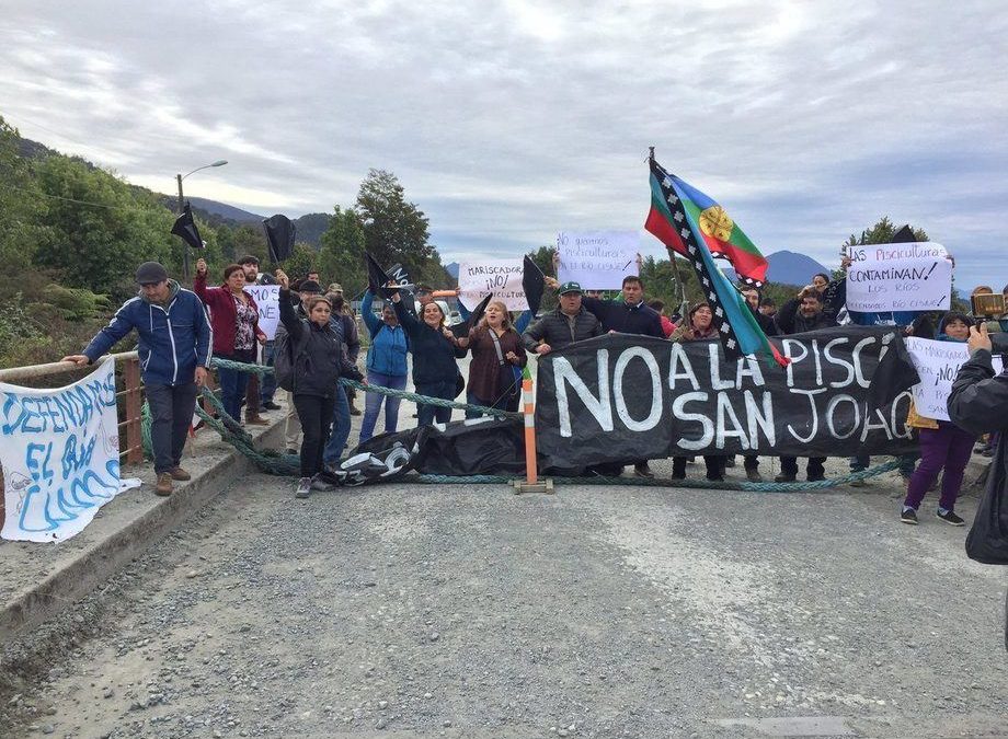 Valdivia: Tribunal Ambiental anula RCA de piscicultura San Joaquín de Hualaihué