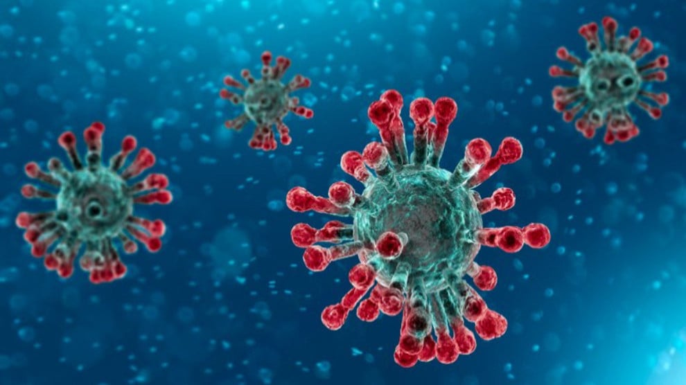 Un virólogo ruso pronostica cómo será la segunda ola de la epidemia del SARS-CoV-2