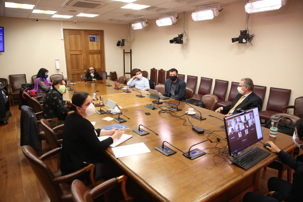 Covid-19: Comisión de Cultura escuchó a ministro de Economía sobre las medidas adoptadas para el sector