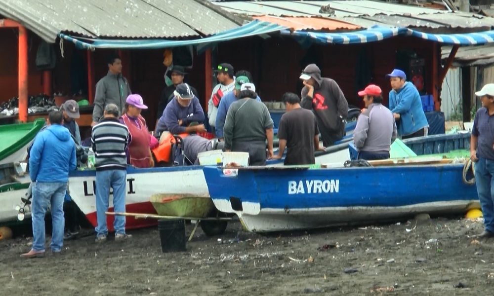 Bío Bío: Impulsan campaña solidaria para ayudar a pescadores artesanales de la zona