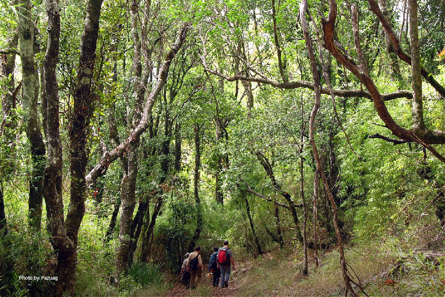 Concepción: Consejo de Ministros aprueba creación del Parque Nacional Nonguén