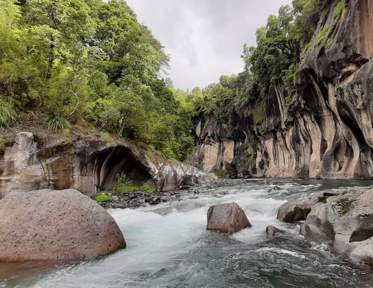 En plena pandemia, Gobierno impulsa proyecto que afectará trágicamente ecosistema del río Diguillín en Región de Ñuble